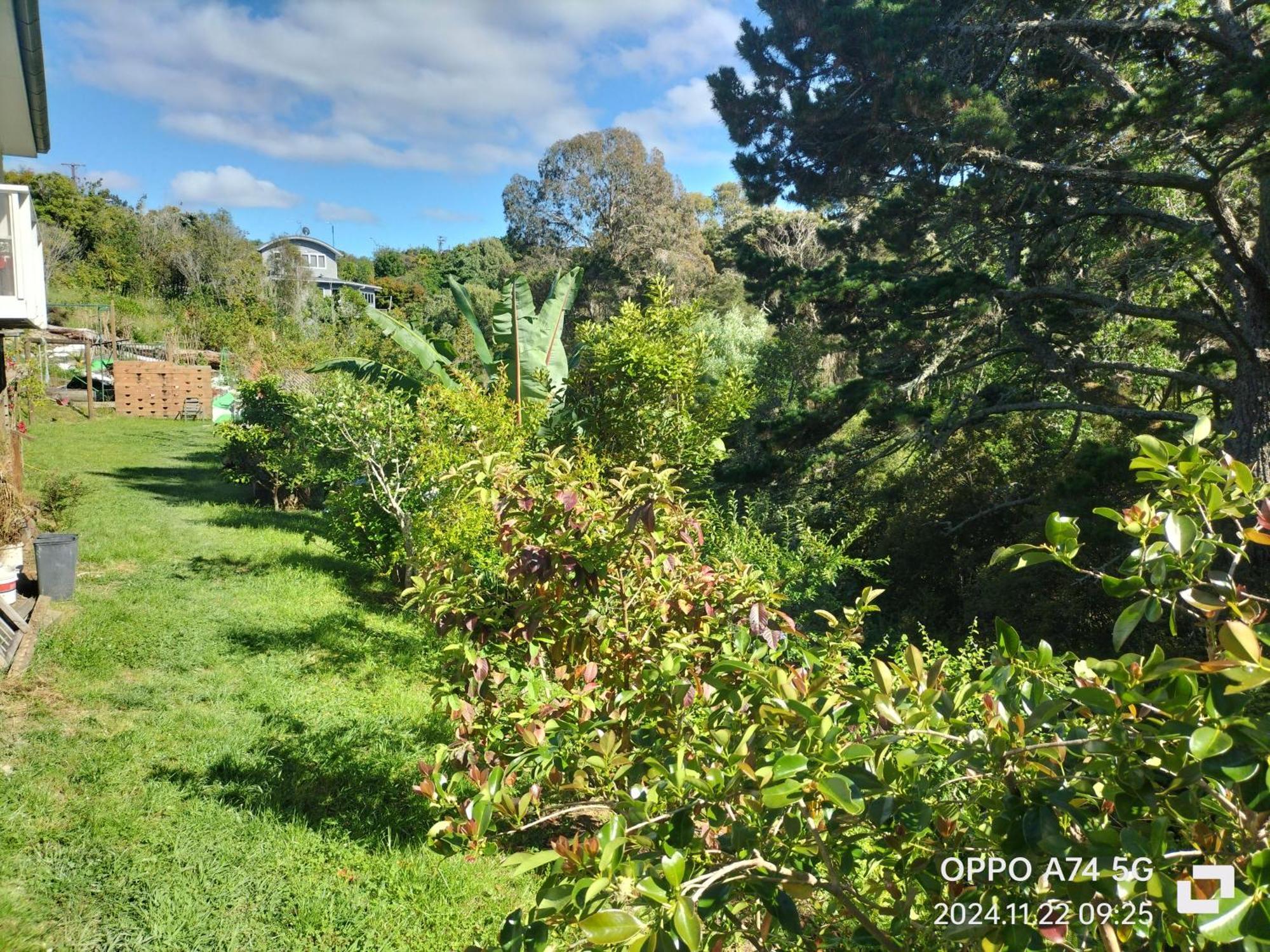 别墅中的一间客房 Auckland Dış mekan fotoğraf