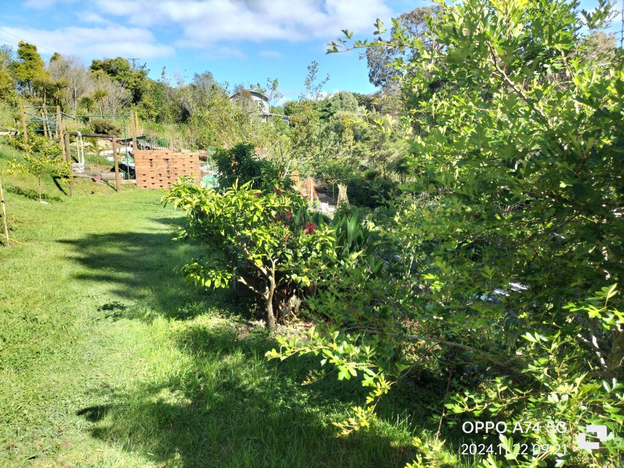 别墅中的一间客房 Auckland Dış mekan fotoğraf