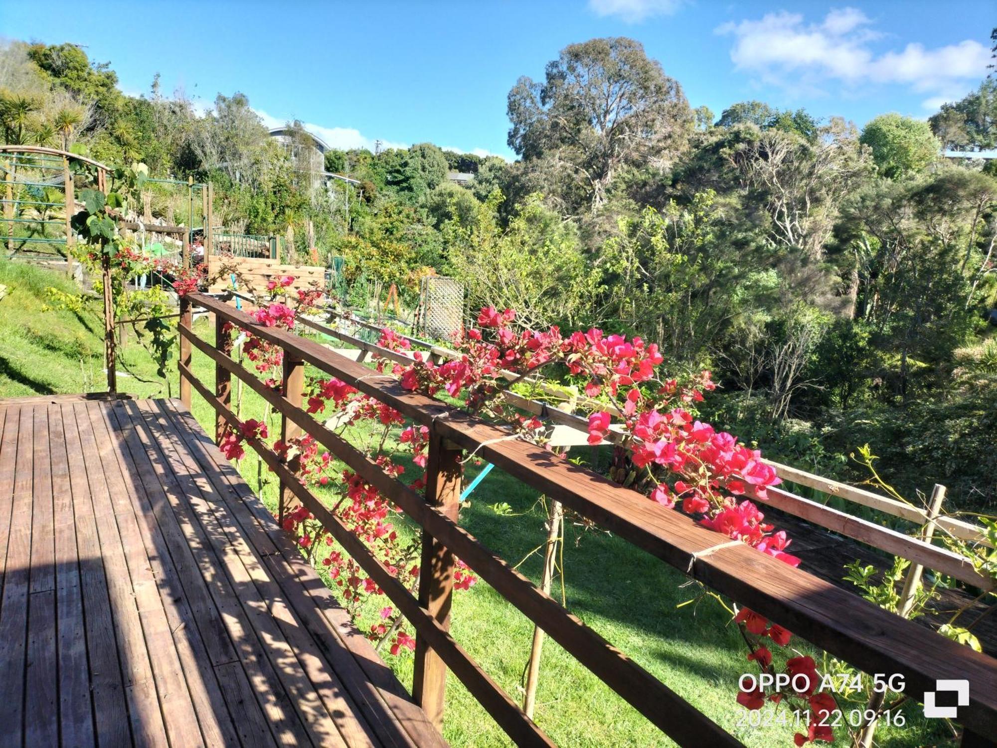 别墅中的一间客房 Auckland Dış mekan fotoğraf